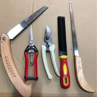 Bộ dụng cụ kéo cắt tỉa cành dụng cụ bon sai cây cảnh làm vườn