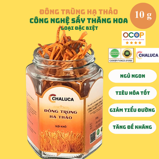 Đông trùng hạ thảo thượng hạng| Đông trùng hạ thảo hữu cơ CHALUCA