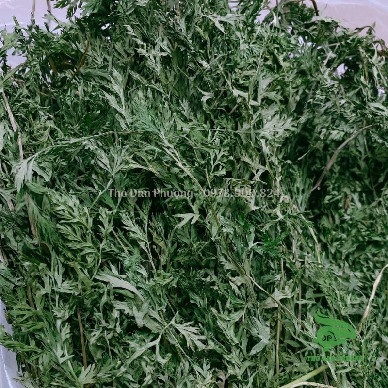 Carrot Leaves - Lá cà rốt sấy lạnh 100g - Thỏ Đan Phượng
