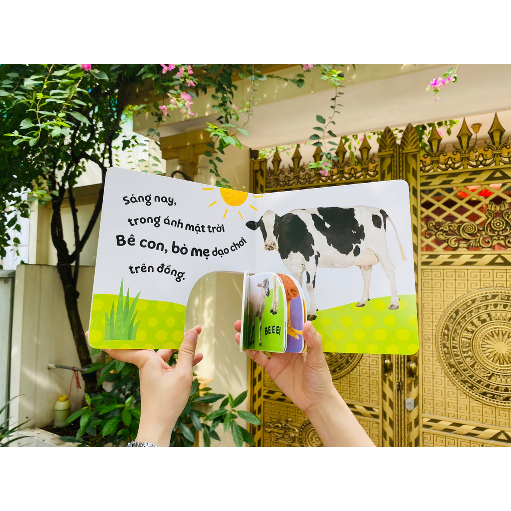 Sách to ôm sách nhỏ - Động vật trong rừng và Động vật ở nông trại - Dành cho trẻ 0 - 6 tuổi - Đinh Tị Books