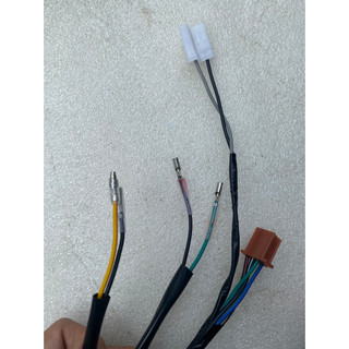 DÂY ĐIỆN SƯỜN XE DH