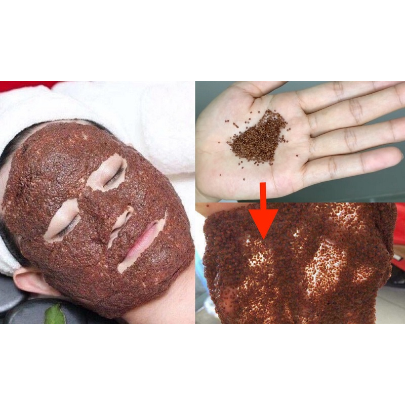 Mặt Nạ Ngũ Hoa, Hạt Ngũ Hoa - Hạt Đình Lịch Sạch Nguyên Chất Handmade