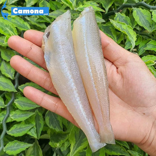 75k 500gram CÁ BỐNG ĐỤC 2 NẮNG (Giao hoả tốc HCM)