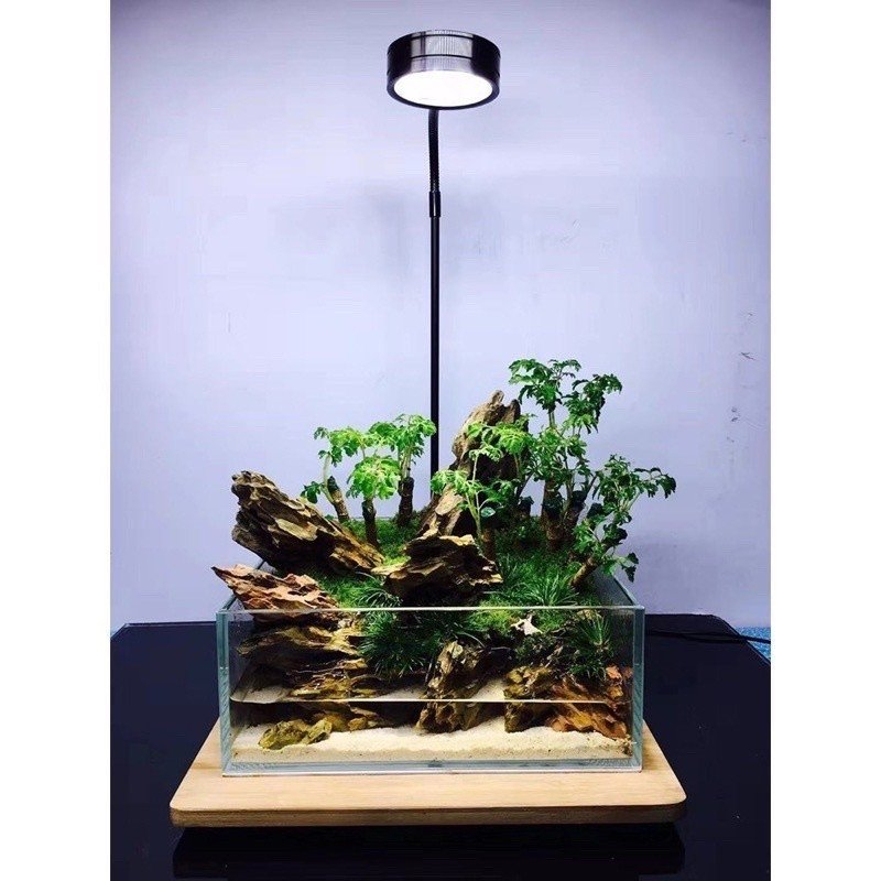 Đèn Led thủy sinh chuyên dụng kèm đế gỗ cho bể cá hình tròn terrarium - Đèn Led cho bể bán cạn