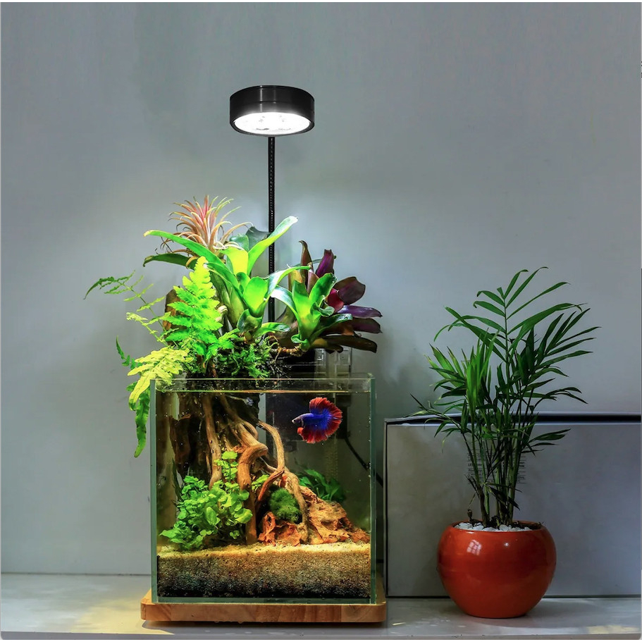 Đèn Led thủy sinh chuyên dụng kèm đế gỗ cho bể cá hình tròn terrarium - Đèn Led cho bể bán cạn