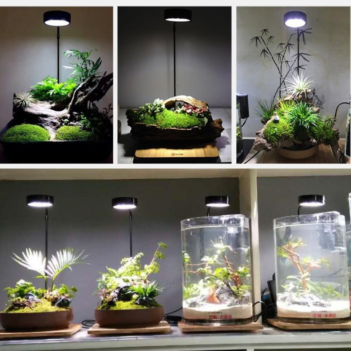 Đèn Led thủy sinh chuyên dụng kèm đế gỗ cho bể cá hình tròn terrarium - Đèn Led cho bể bán cạn