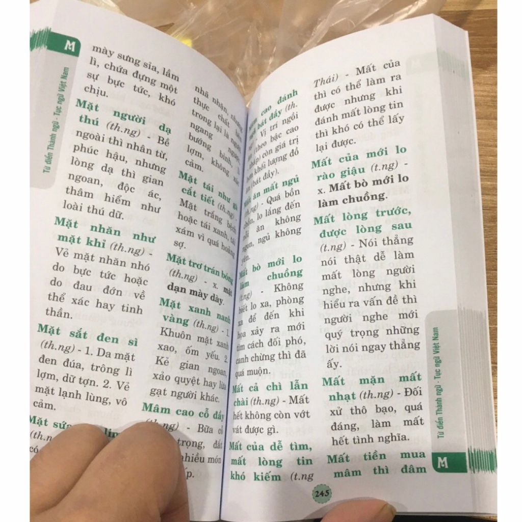 Sách - Từ điển Tiếng Việt dành cho học sinh | BigBuy360 - bigbuy360.vn