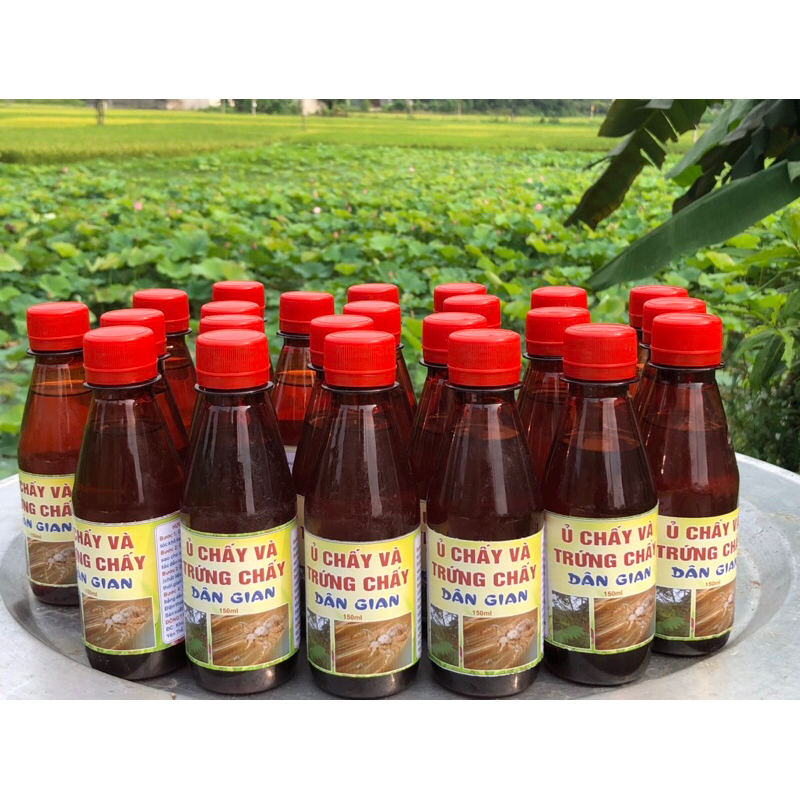 Ủ Chấy Dân Gian Việt Nam + mũ ủ