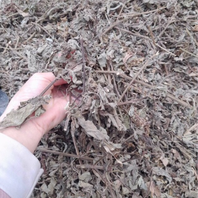 Hương Nhu Khô 500g