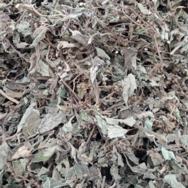 Hương Nhu Khô 500g
