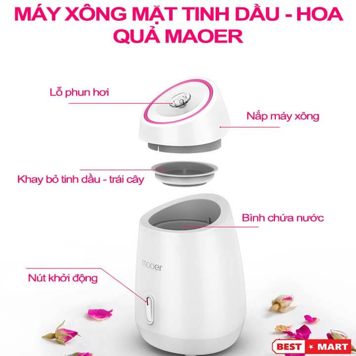 Máy Xông Thư Giãn Thảo Dược Hoa Quả Maoer, Máy Xông 2 In 1 Chăm Sóc Làm Đẹp An Toàn