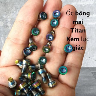 Ốc bông mai titan tặng lục giác