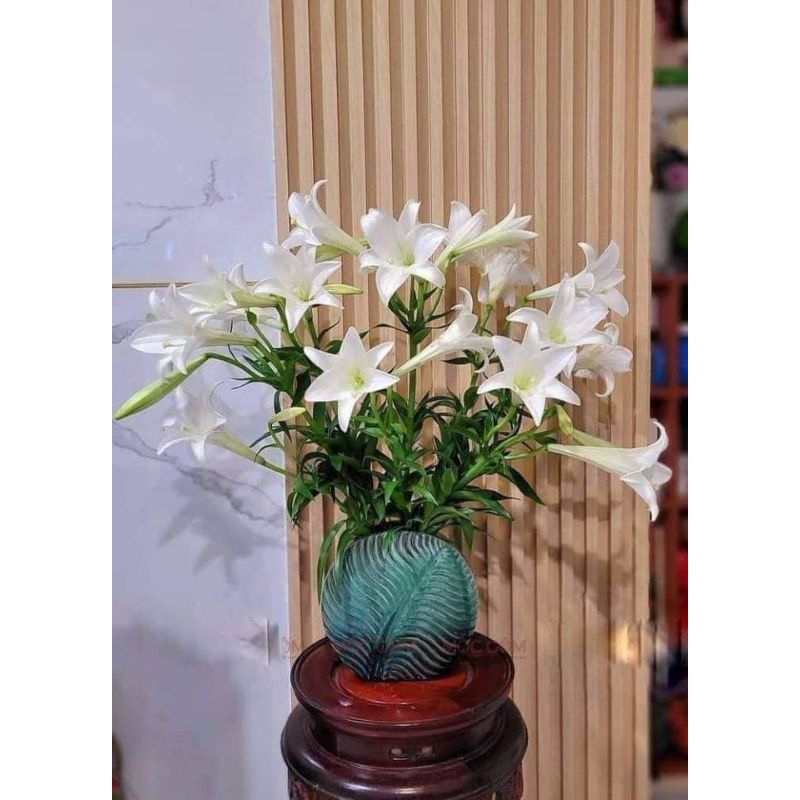 BÌNH LÁ MEN NGỌC