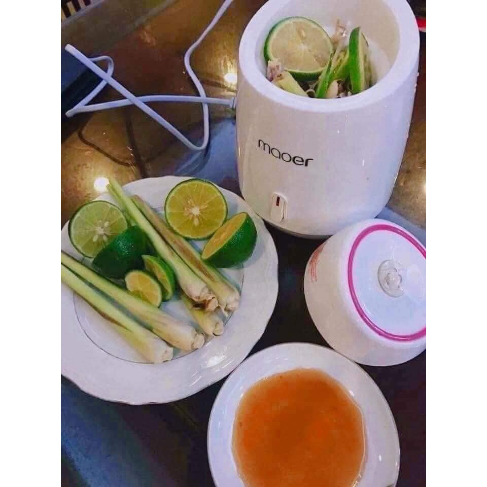 Máy Xông Thư Giãn Thảo Dược Hoa Quả Maoer, Máy Xông 2 In 1 Chăm Sóc Làm Đẹp An Toàn