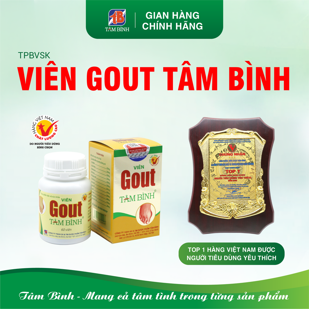 Combo 9 hộp Viên Gout Tâm Bình, hỗ trợ giảm triệu chứng đau do gút, hỗ trợ lợi tiểu, tăng đào thải axit uric