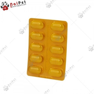 Calci Delice viên bổ sung canxi, phốt pho & khoáng chất thiết yếu cho chó