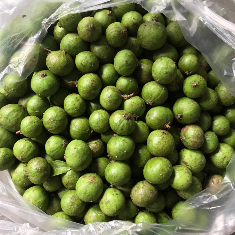 Sấu tươi, Sấu tươi cạo vỏ hút chân không, Sấu đông lạnh - Ship hoả tốc Hà Nội