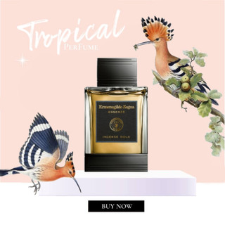 Nước hoa Incense Gold Ermenegildo Z3gna EDT