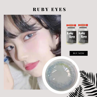 KÍNH ÁP TRÒNG GRAY LENS