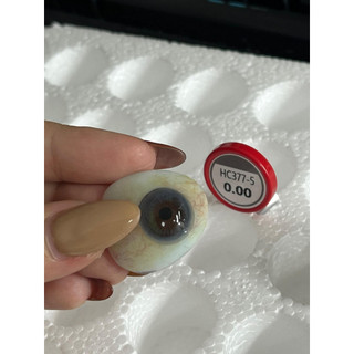 KÍNH ÁP TRÒNG GRAY LENS
