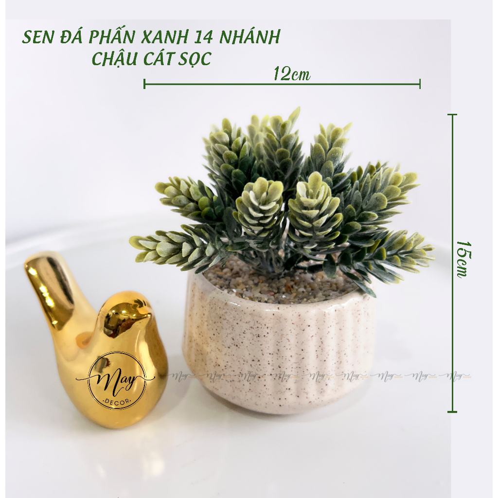 Chậu sen đá phấn 14 nhánh