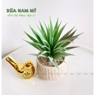 Cây giả,Sen đá giả kèm chậu sứ vân cát