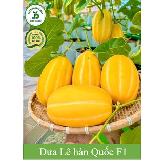 Hạt giống dưa lê Hàn Quốc siêu ngọt F1
