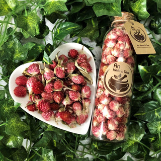Trà cúc bách nhật hồng 100gram