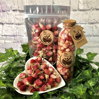 Trà cúc bách nhật hồng 100gram