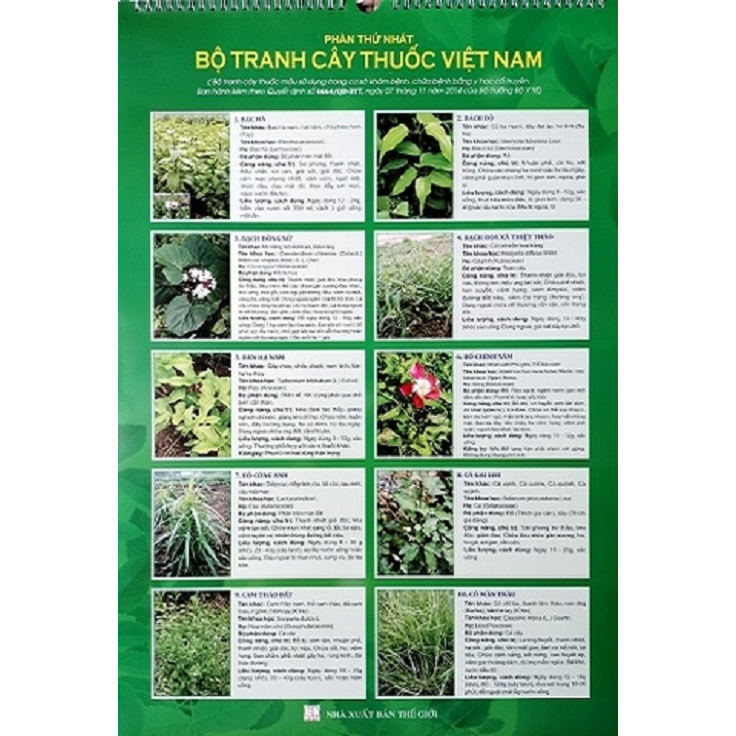 Sách - Bộ Tranh Cây Thuốc Việt Nam