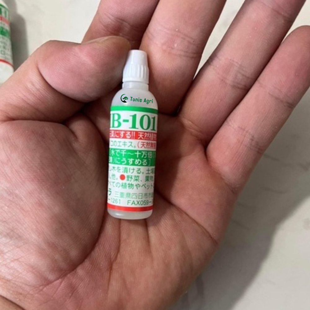 Hb 101 kích rễ phục hồi cây yếu cứu cây suy Nhật Bản 6ml