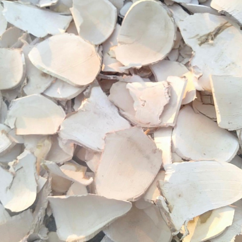 1kg RỄ MẬT NHÂN loại 1 sạch- cơ sở dược liệu Thảo An