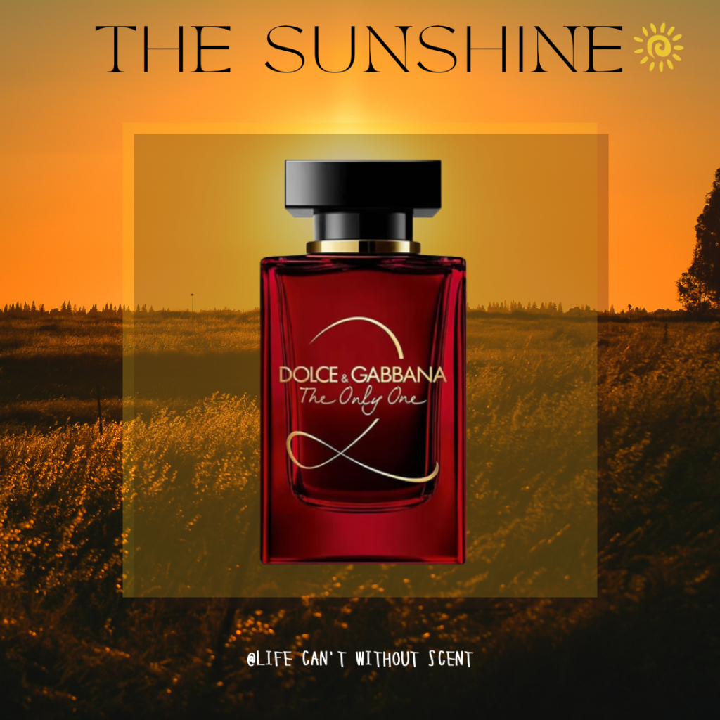 Nước hoa D&G The Only One 2 - 5ml/10ml/20ml [ 𝓣𝓱𝓮𝓢𝓾𝓷𝓢𝓱𝓲𝓷𝓮 ]