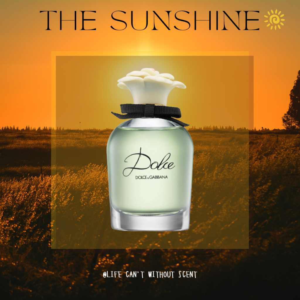 Nước hoa D&G Dolce 5ml/10ml/20ml [ 𝓣𝓱𝓮𝓢𝓾𝓷𝓢𝓱𝓲𝓷𝓮 ]