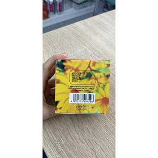KEM CCM COLLAGEN NHÂN SÂM