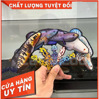 Cây kè mô hình Cá Lóc đa dạng 1 - Tăng độ sung cho cá (CHẤT LIỆU MICA).