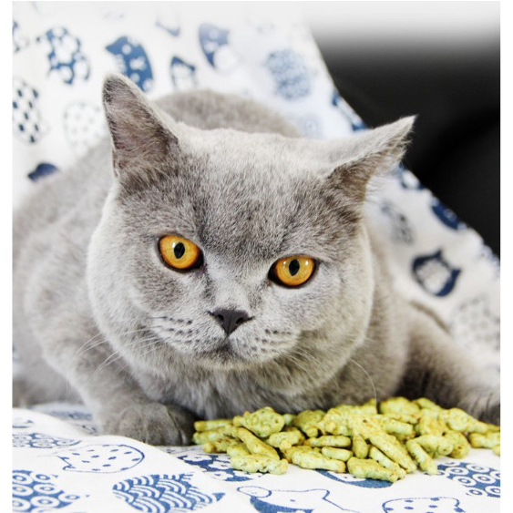 Bánh Cá Biscuits Catnip Giảm Búi Lông Viêm Răng Hôi Miệng Cho Mèo