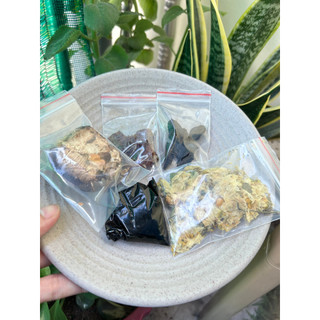 (TẶNG 1  SET CHÈ DƯỠNG NHAN 500G) Combo 5 set sâm lục vị Nutty Nice thanh mát giải nhiệt