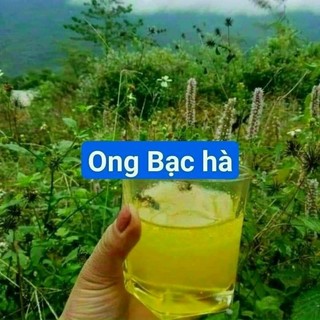 Mật ong Bạc Hà chuẩn Hà Giang