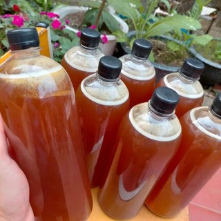 Mật ong rừng Lai Châu mật chuẩn 100% chuẩn rừng bao đổi trả