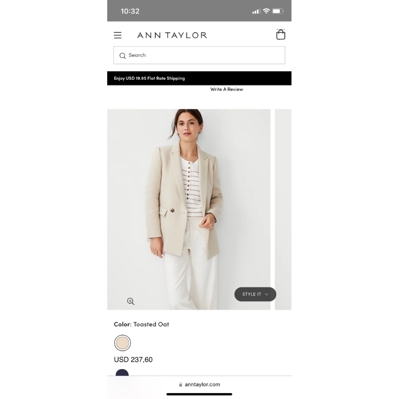 Blazer Ann taylor