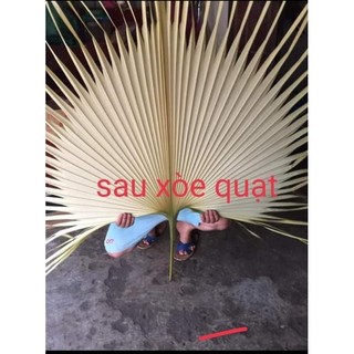 lá cọ non cắm hoa nhà thờ giá rẻ