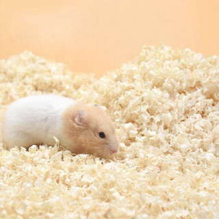 Mùn cưa cho Hamster, nhím kiểng
