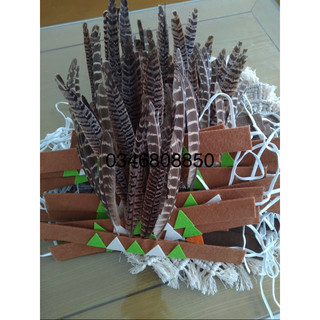 Nón thổ dân biểu diễn