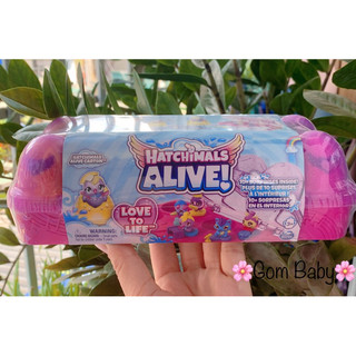 Khay Trứng Hatchimals Water Hatch