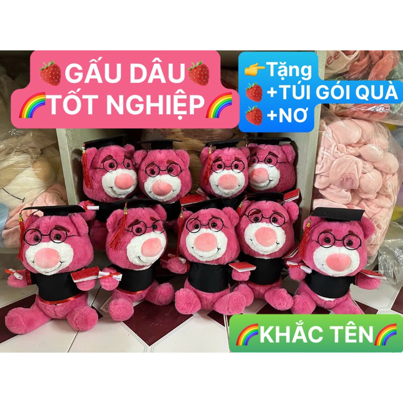 27cm GẤU BÔNG TỐT NGHIỆP GẤU DÂU,GẤU CỬ NHÂN - Lông Nhung Mềm Mịn