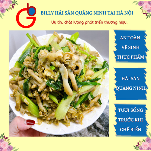 Ruột móng tay tươi trần sơ không sạn - hải sản Vân Đồn - hải sản Quảng Ninh