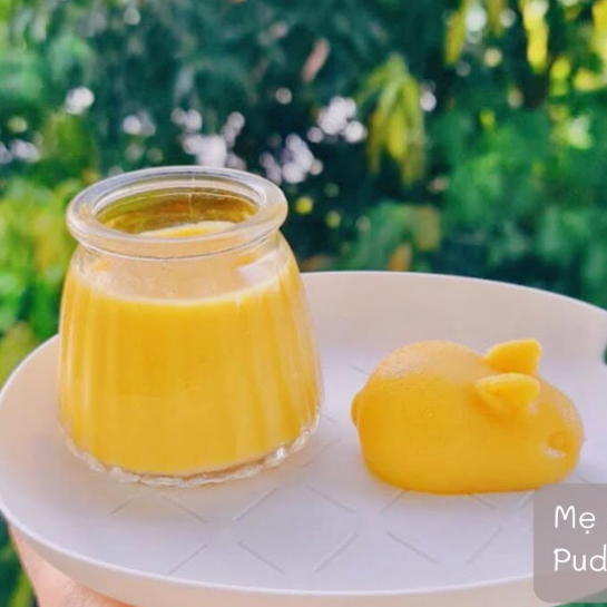 Bột pudding hữu cơ RUF Đức (Date 09/2024)