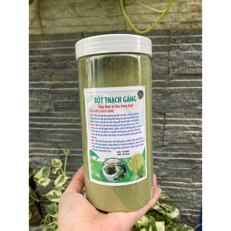 500gr Bột thạch lá găng rừng