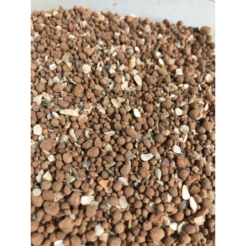 Khoáng cho chim cảnh